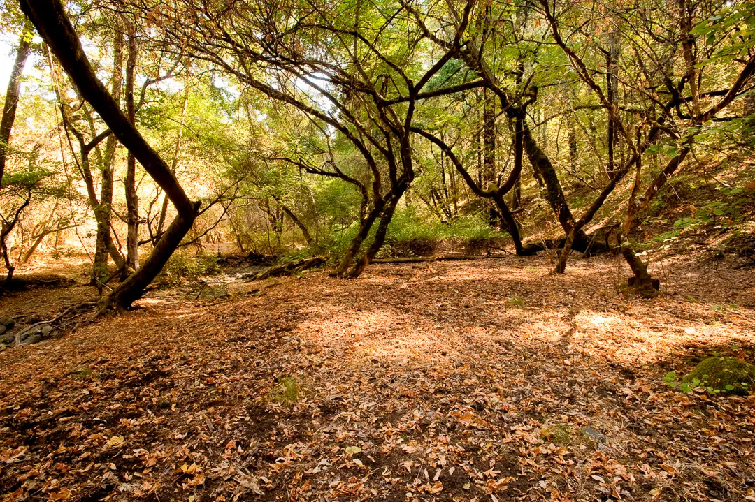 Valley Group Campground