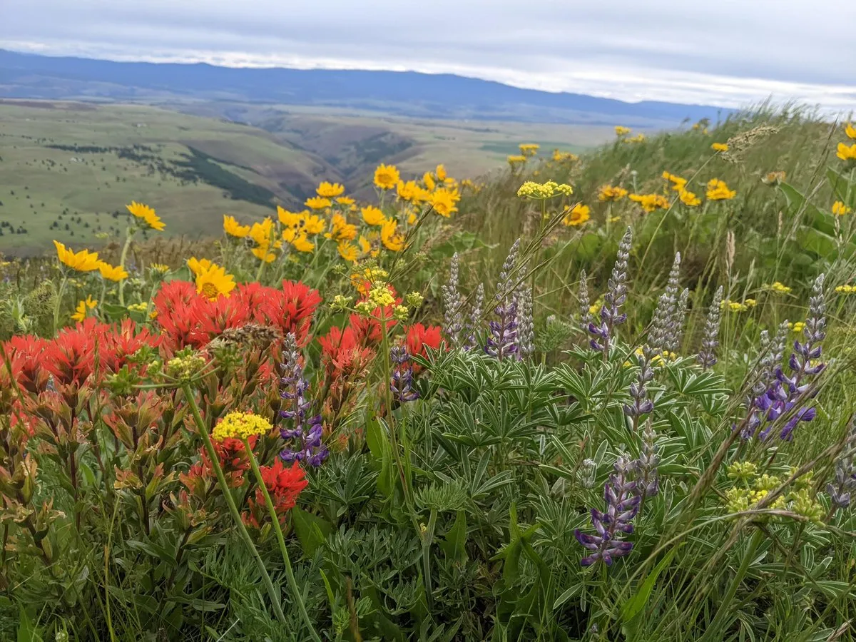 Columbia Hills State Park