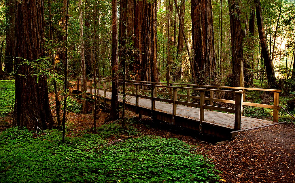 Azalea Campground