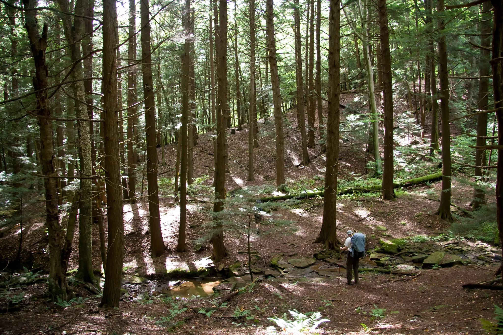 Oil Creek State Park
