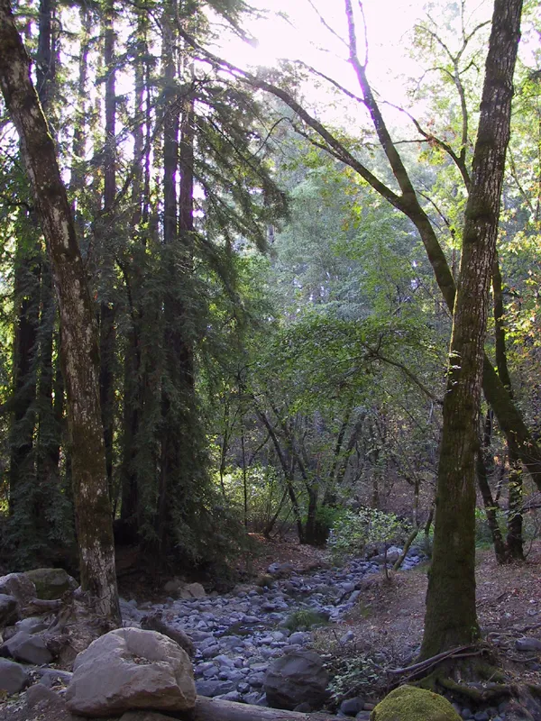 Valley Group Campground