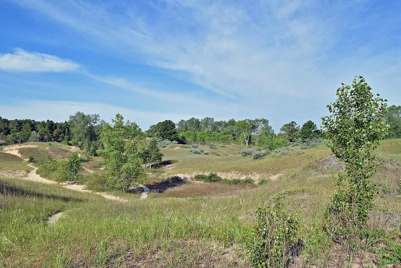 Kohler-Andrae State Park