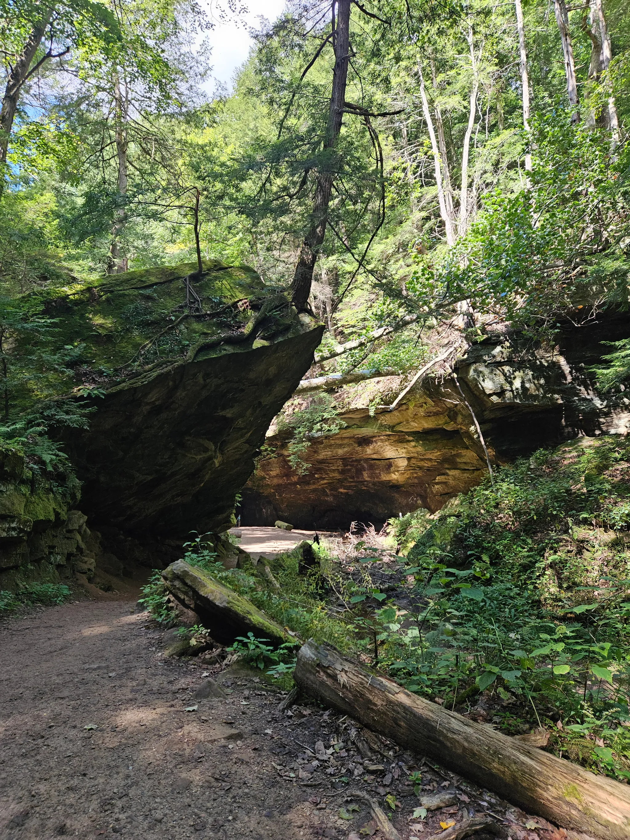 Turkey Run State Park