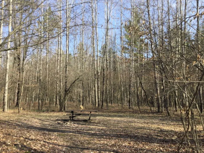 Lincoln Bridge State Forest Campground