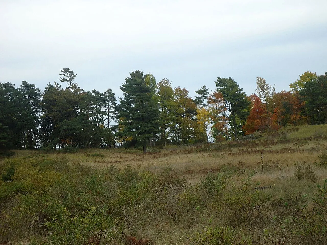 Kohler-Andrae State Park