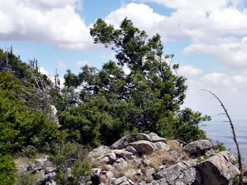 White Rock Campground