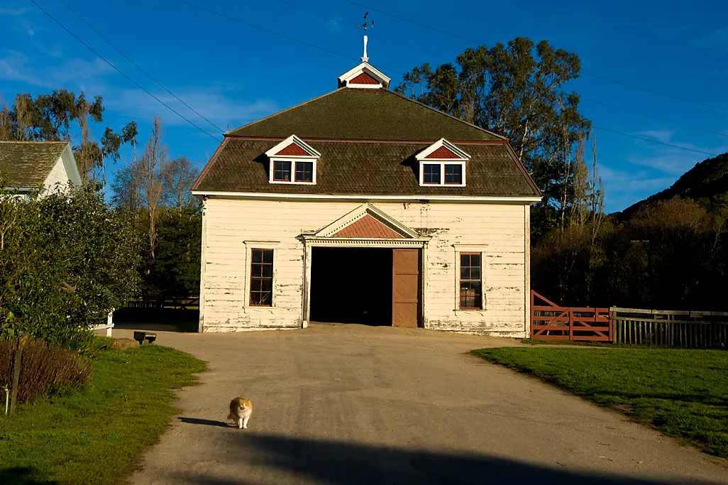 Wilder Ranch Campground