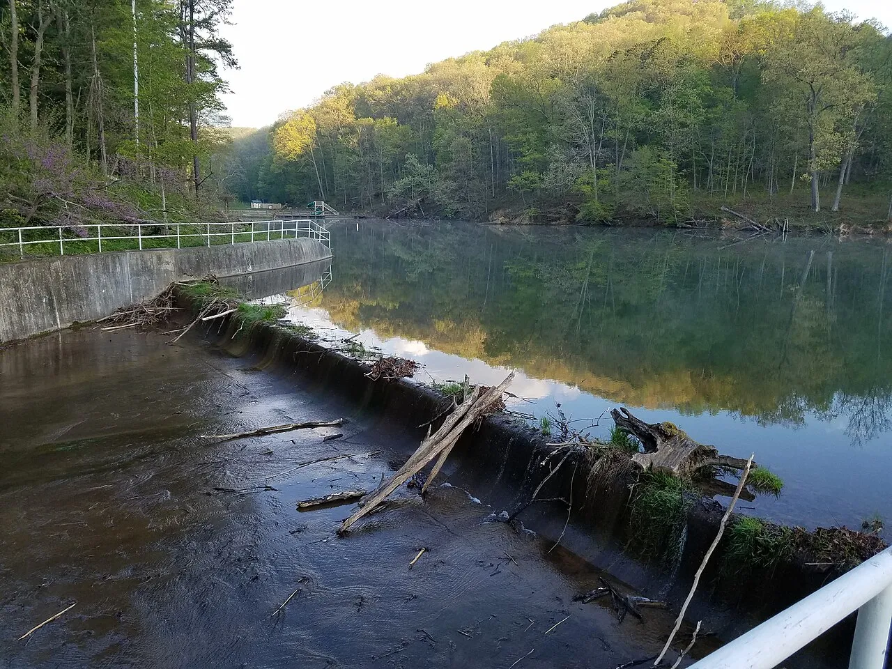Tar Hollow Campground