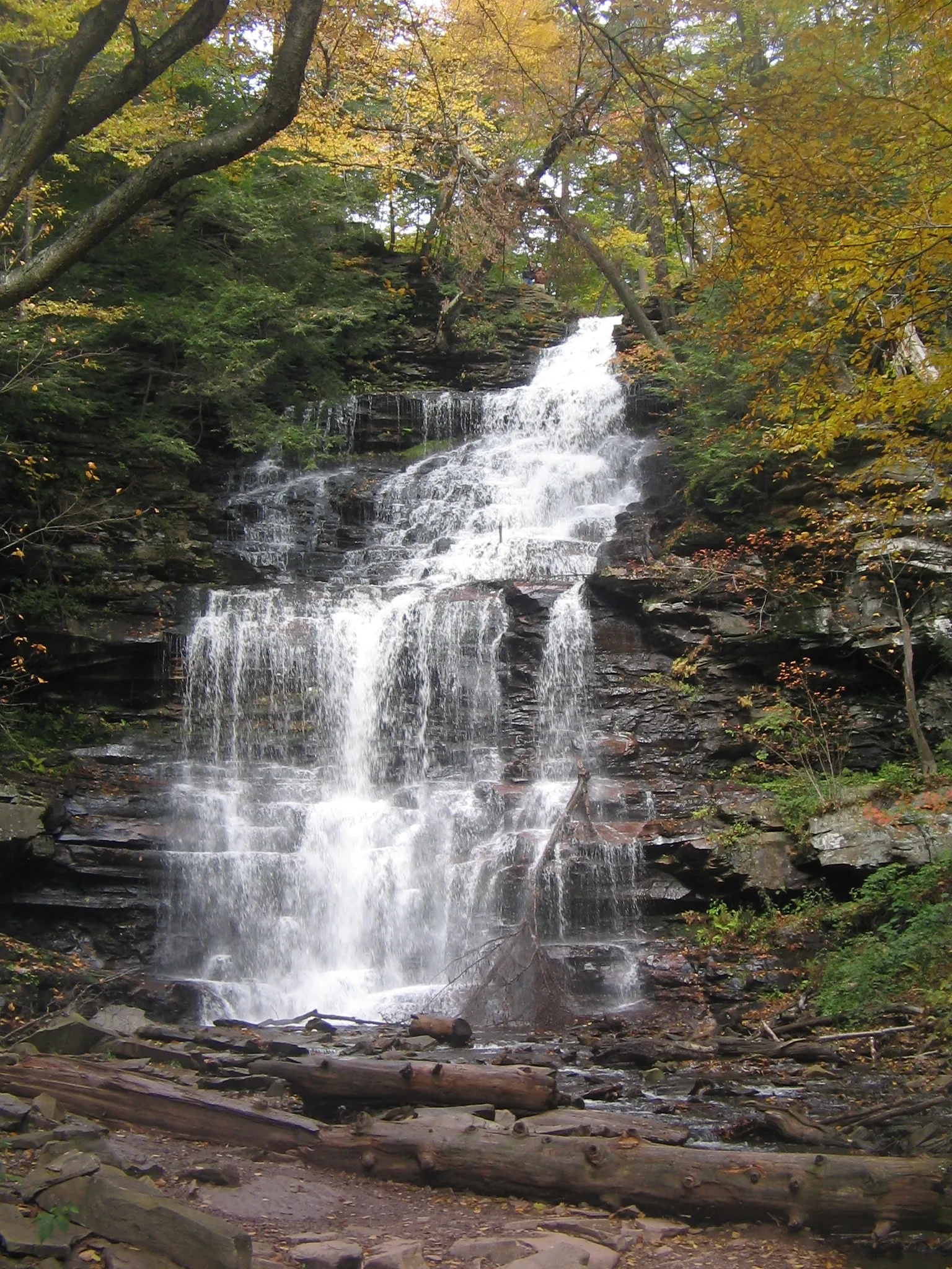 Ricketts Glen State Park