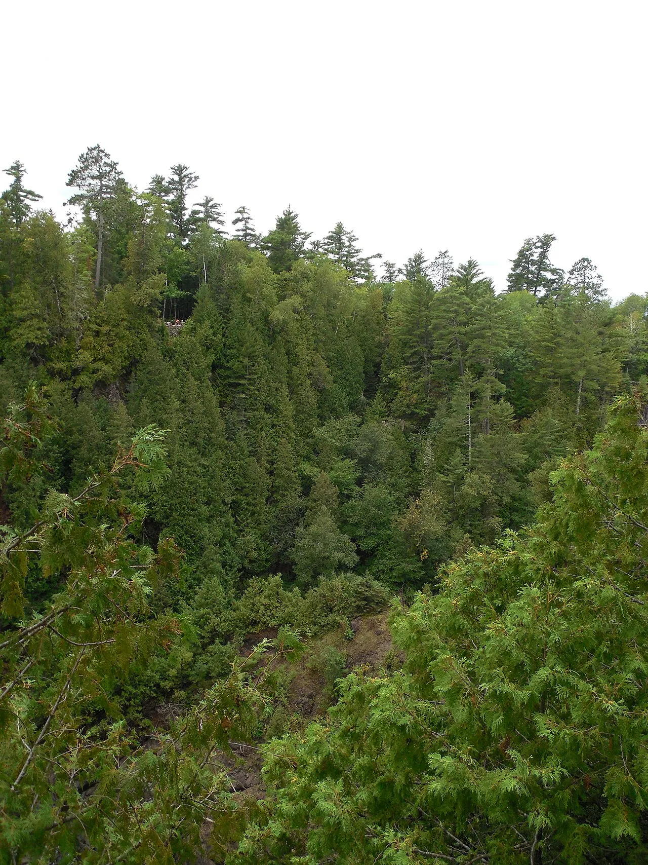 Pattison State Park