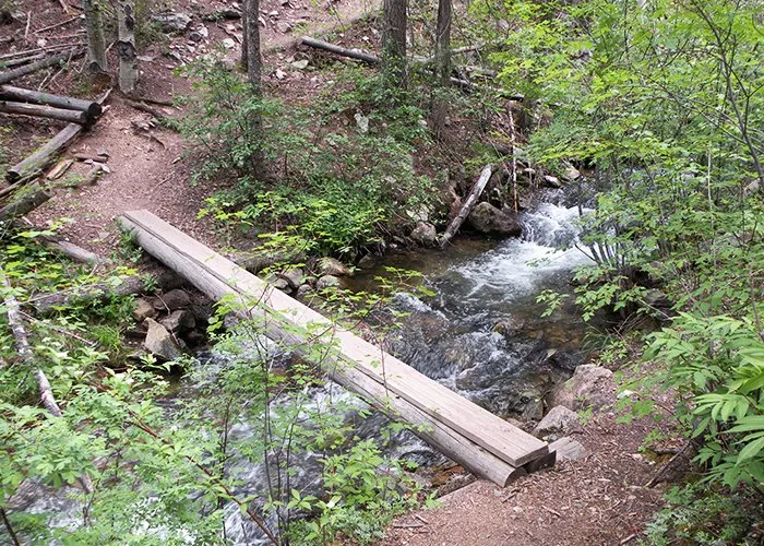 Cimarron Canyon