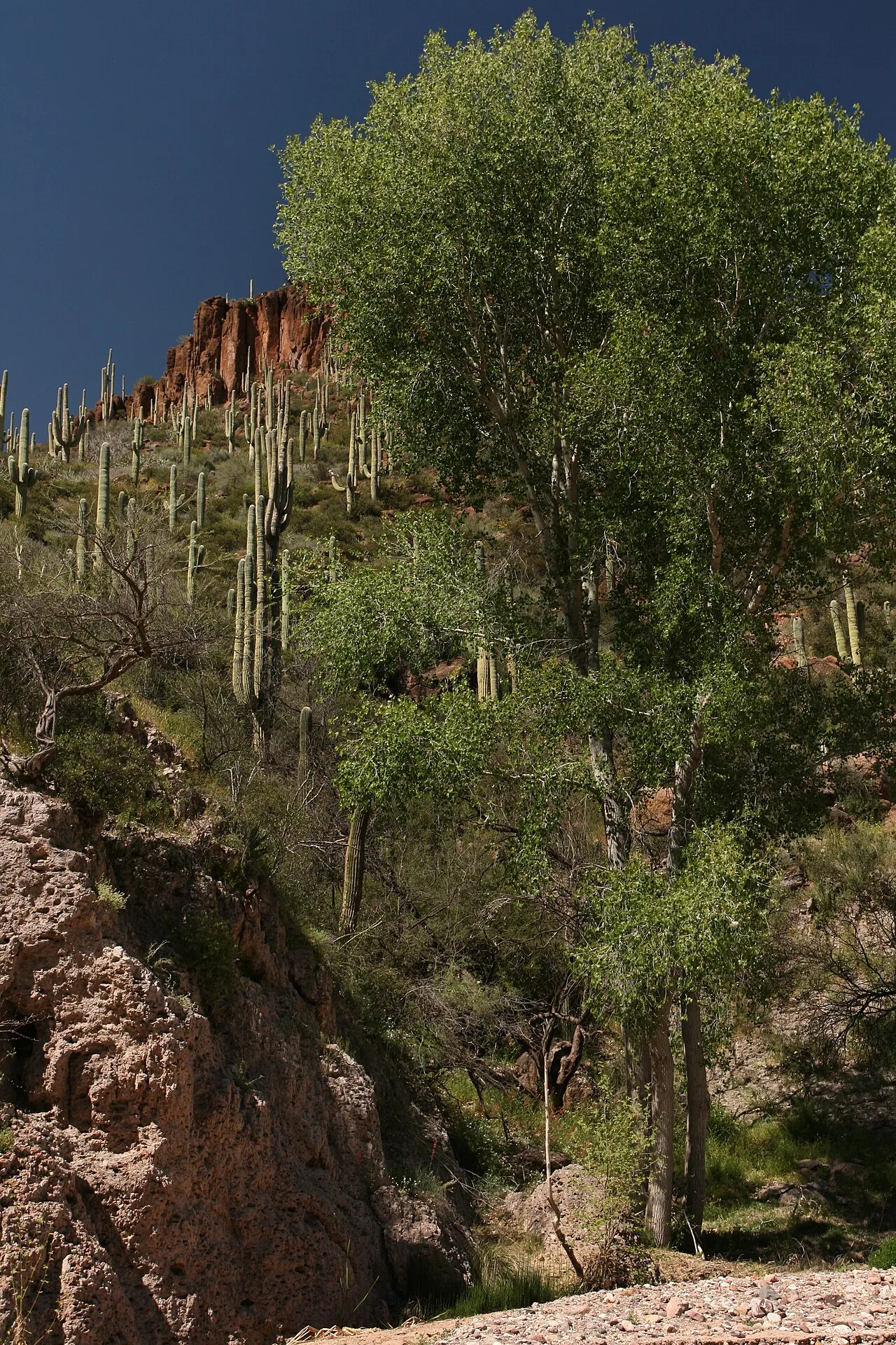 Brandenburg Campground