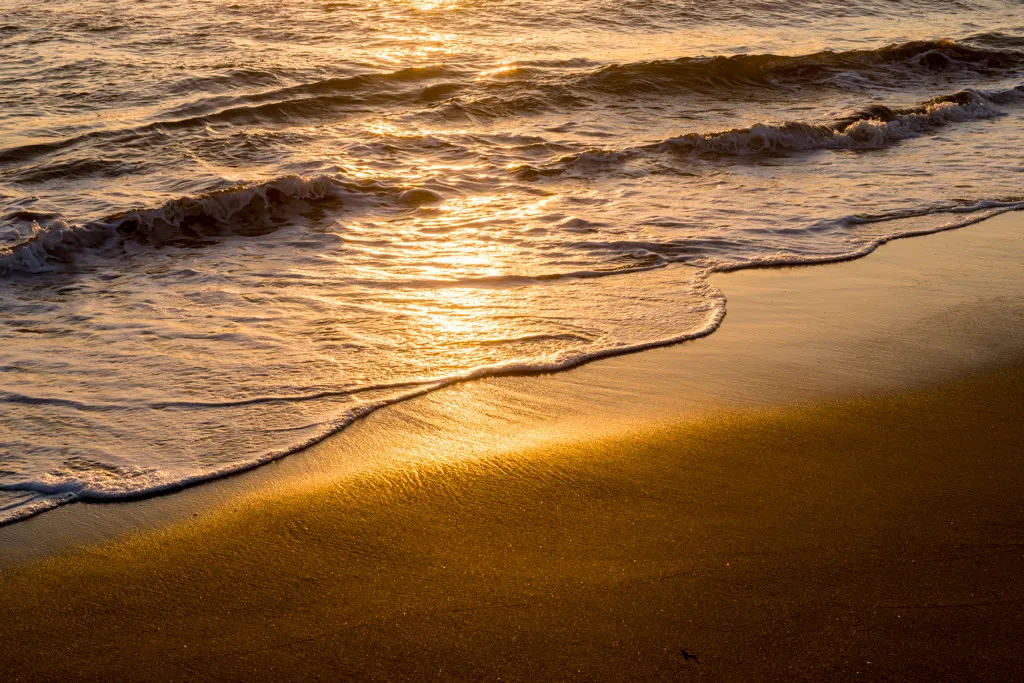 Sunset State Beach Campground