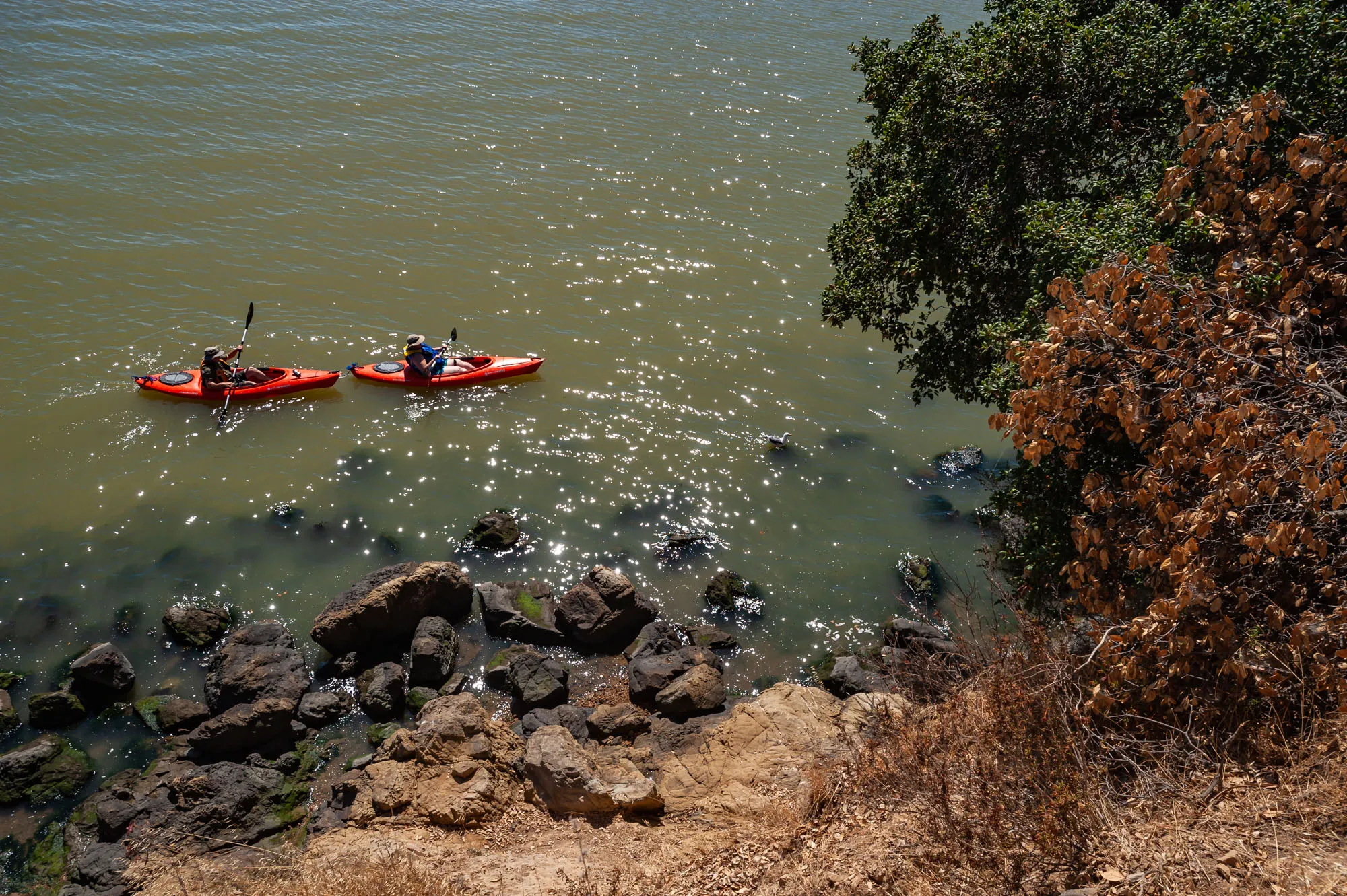 China Camp State Park Campground