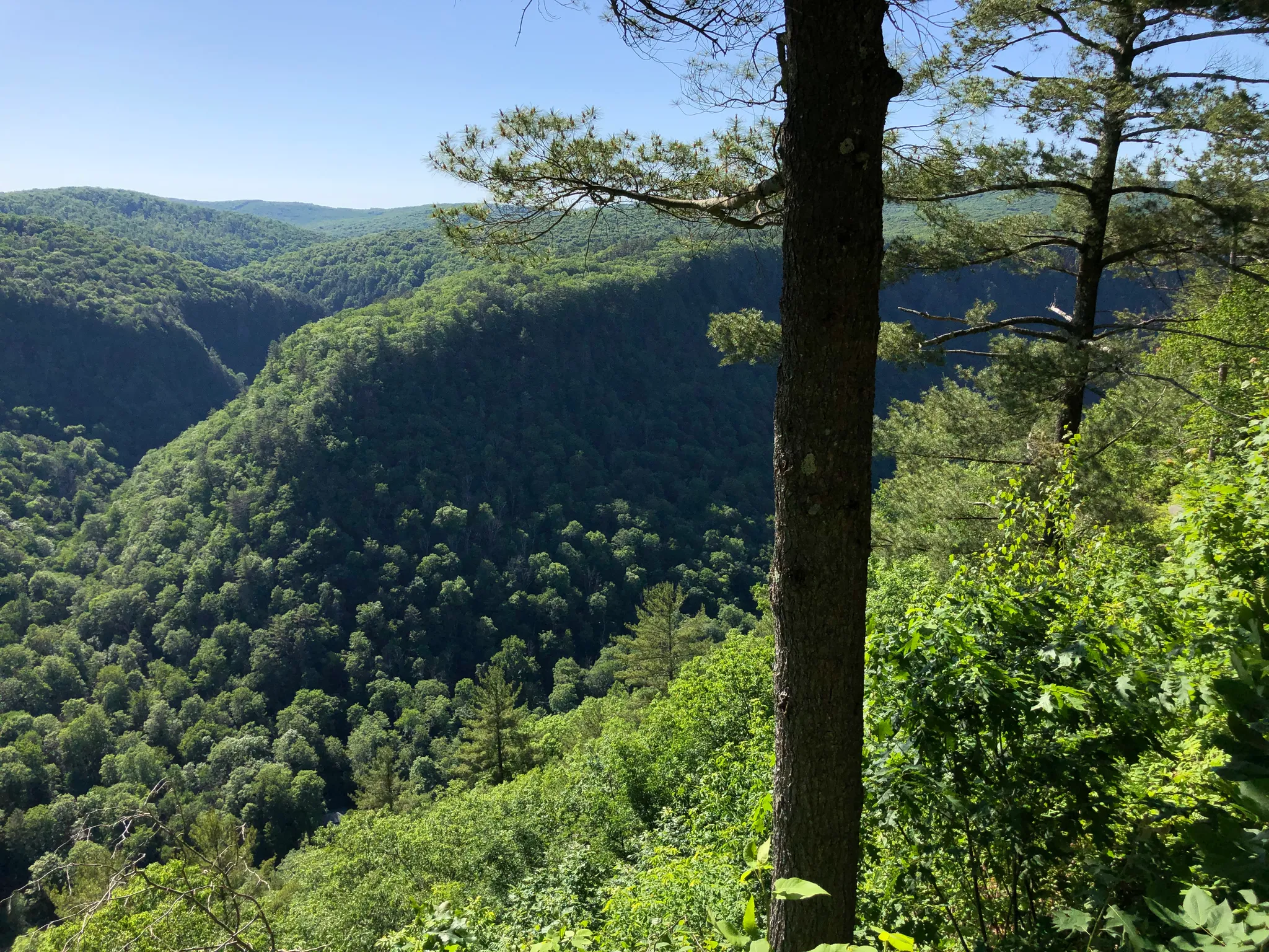 Leonard Harrison State Park