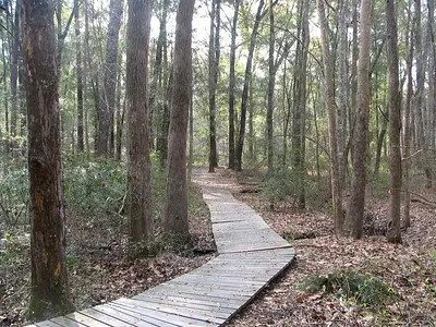 Magnolia Springs State Park