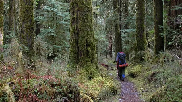 Graves Creek Campground