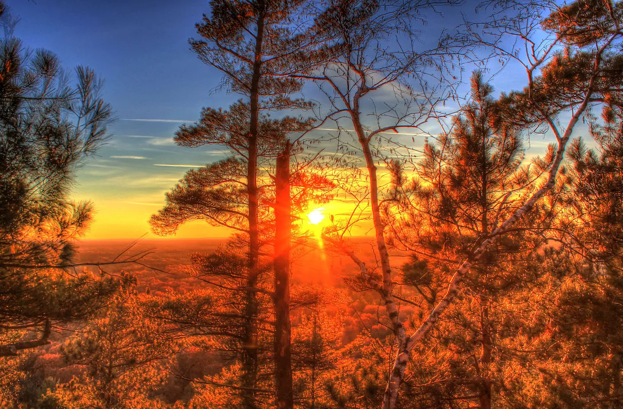 Roche-A-Cri State Park