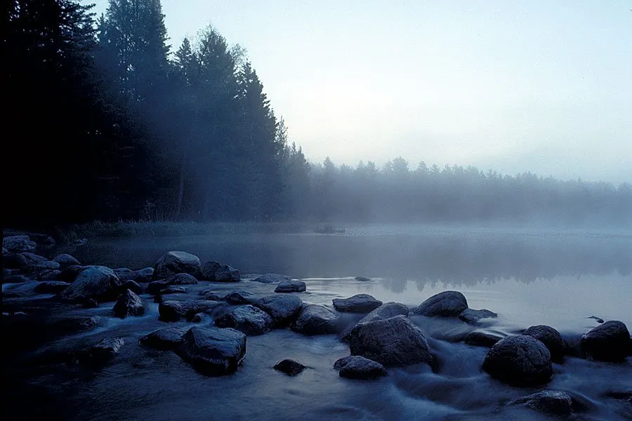Bear Paw Campground