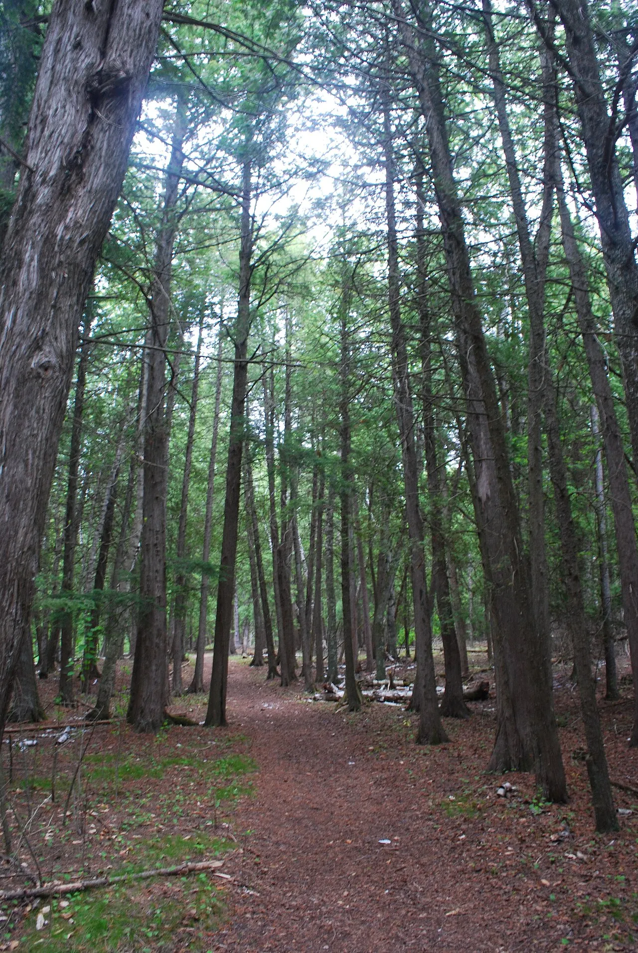 Peninsula State Park