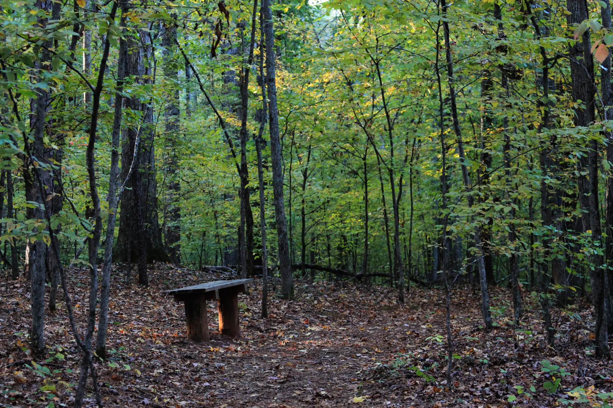 Sweetwater Creek State Park