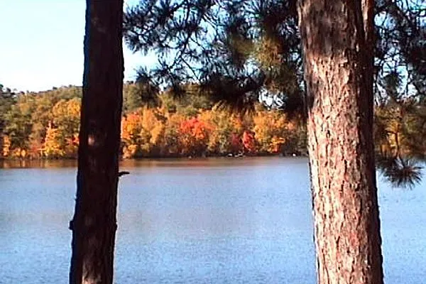 Group Camp