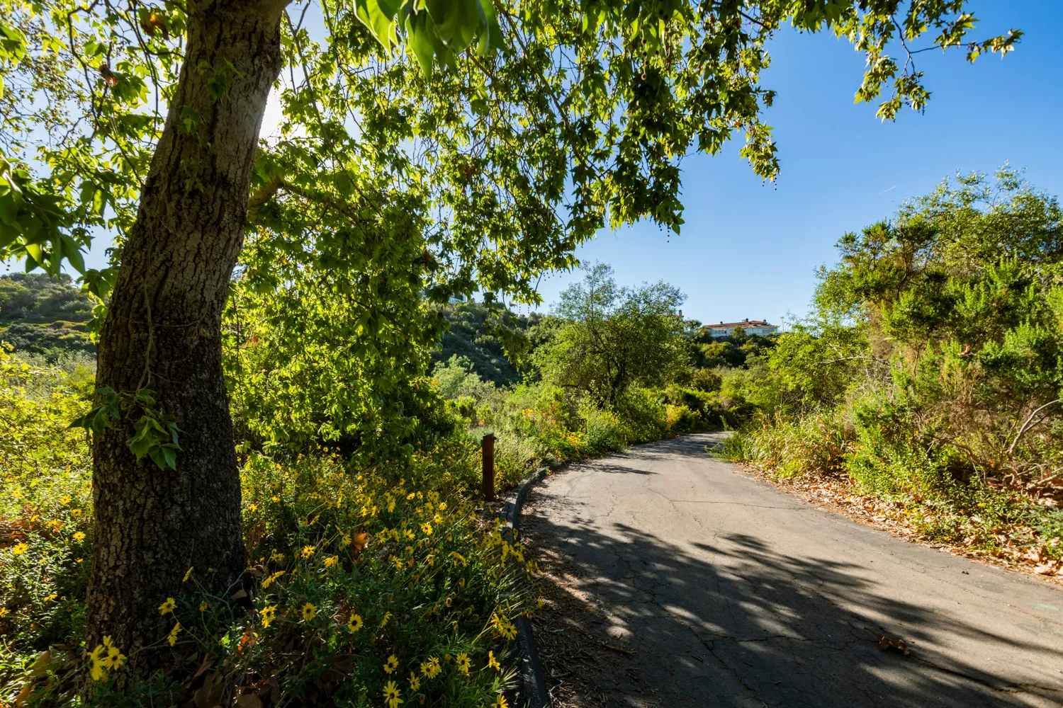 Upper Moro Campground