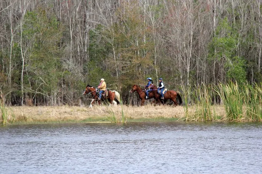 Colt Creek State Park Campground