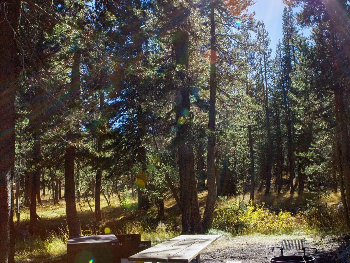 Porcupine Flat Campground