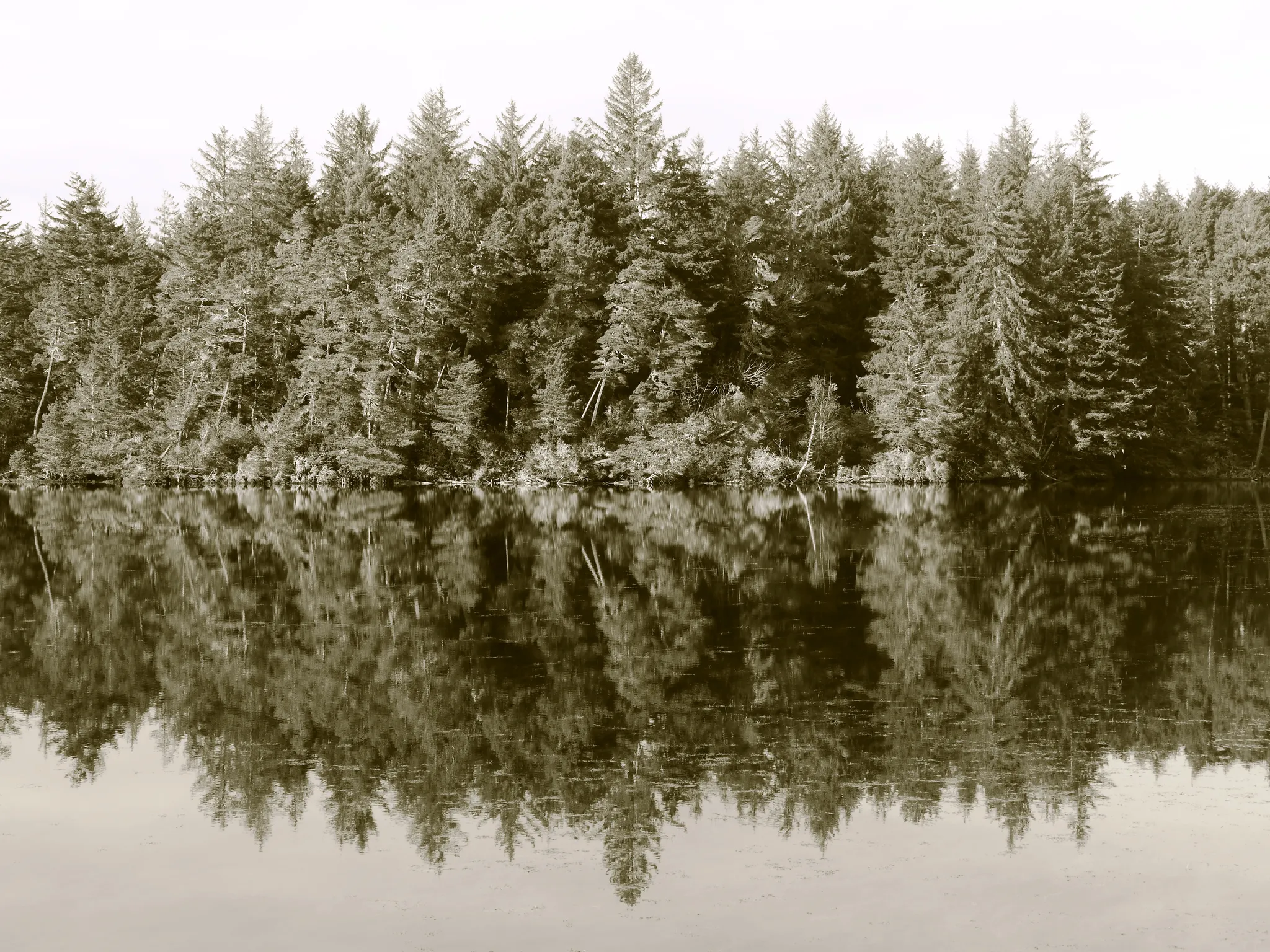 Jessie M. Honeyman Memorial State Park