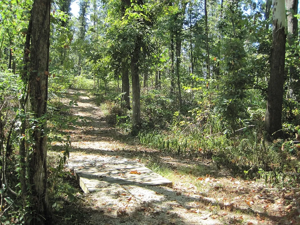 Lake Frierson Campground