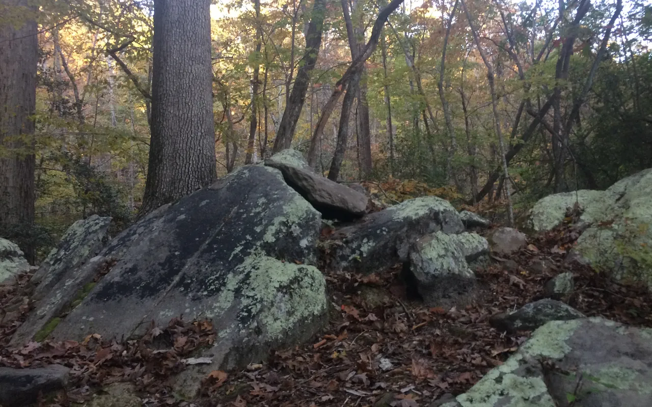 William B. Umstead State Park