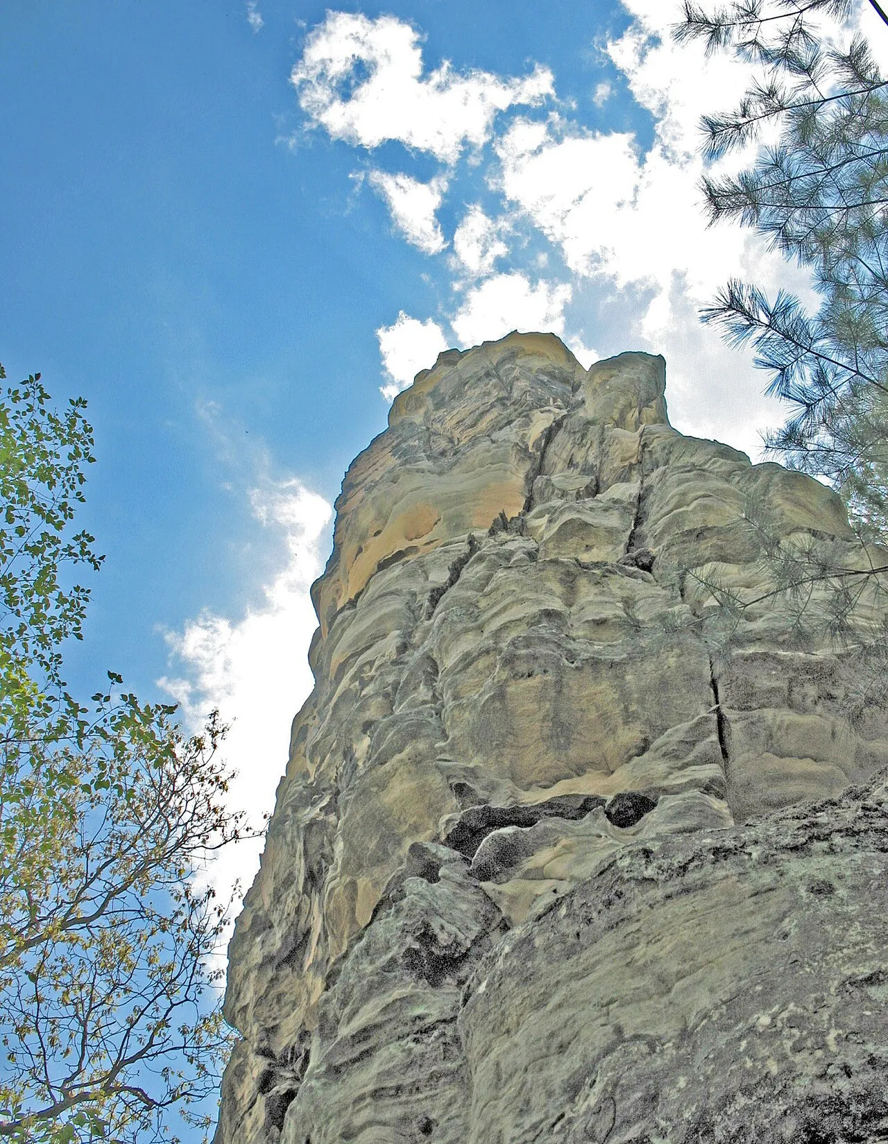 Mill Bluff State Park