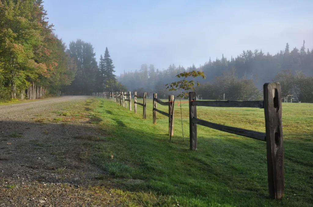 Mollidgewock State Park