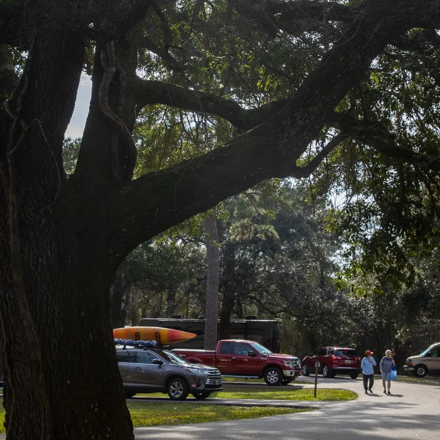Davis Bayou Group Campground