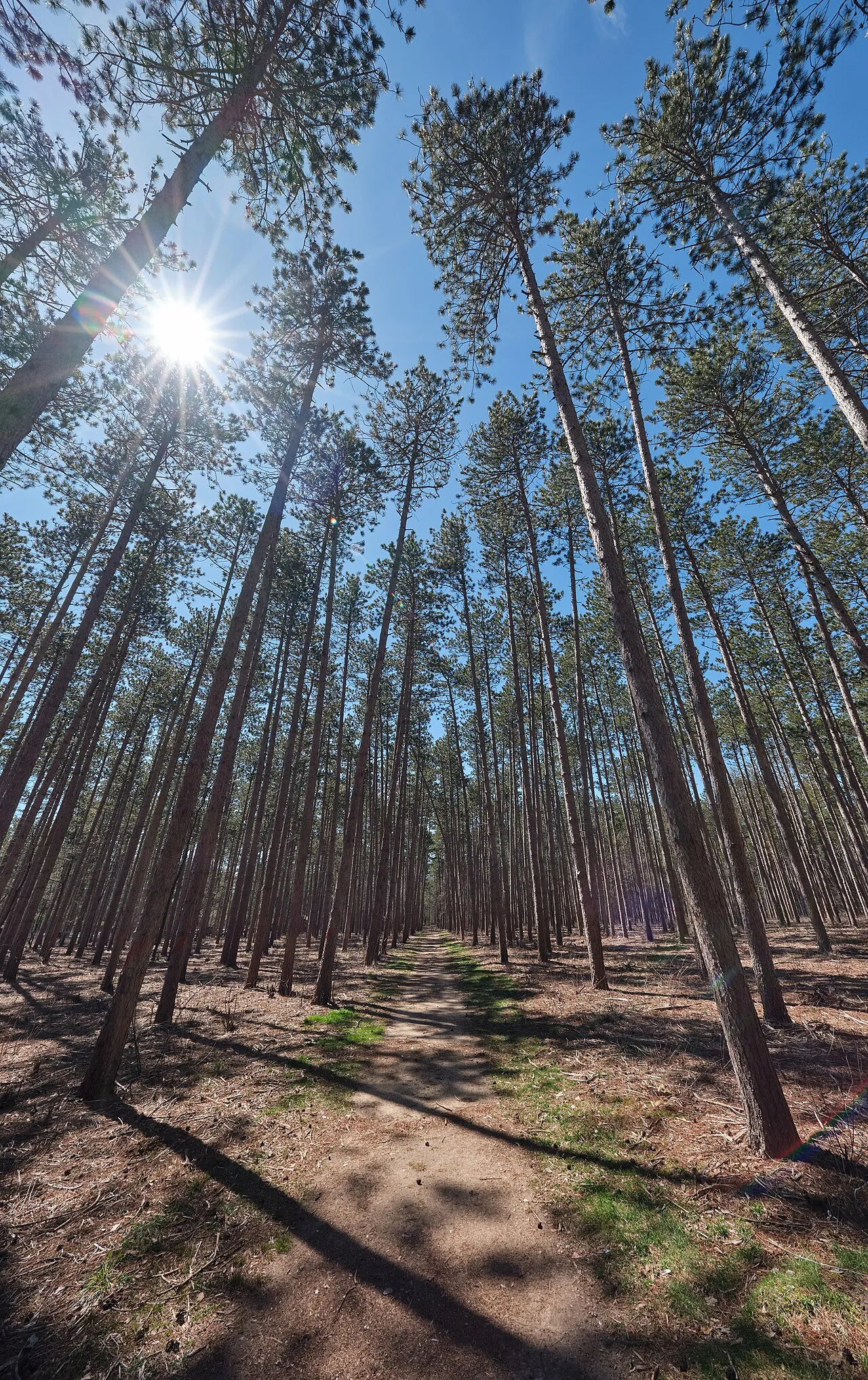 Kettle Moraine State Forest - Southern Unit