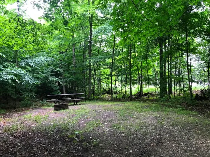 Bass Lake State Forest Campground (Luce)