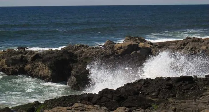 Jessie M. Honeyman Memorial State Park
