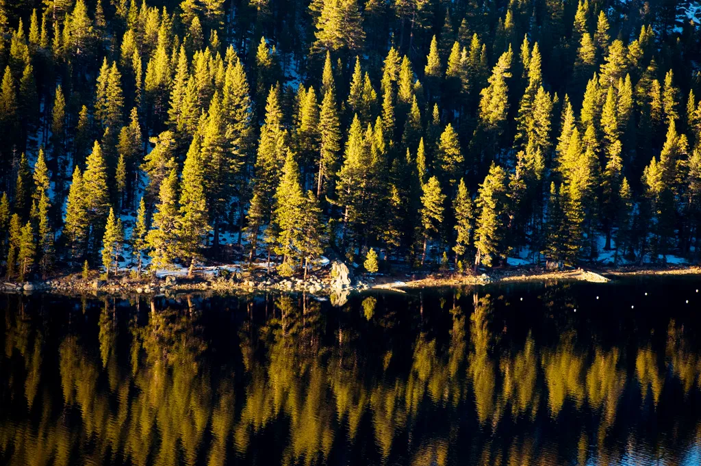 Boat-In Campground
