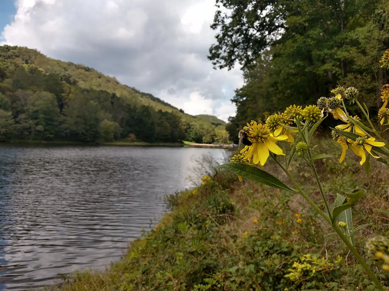 Tar Hollow Campground