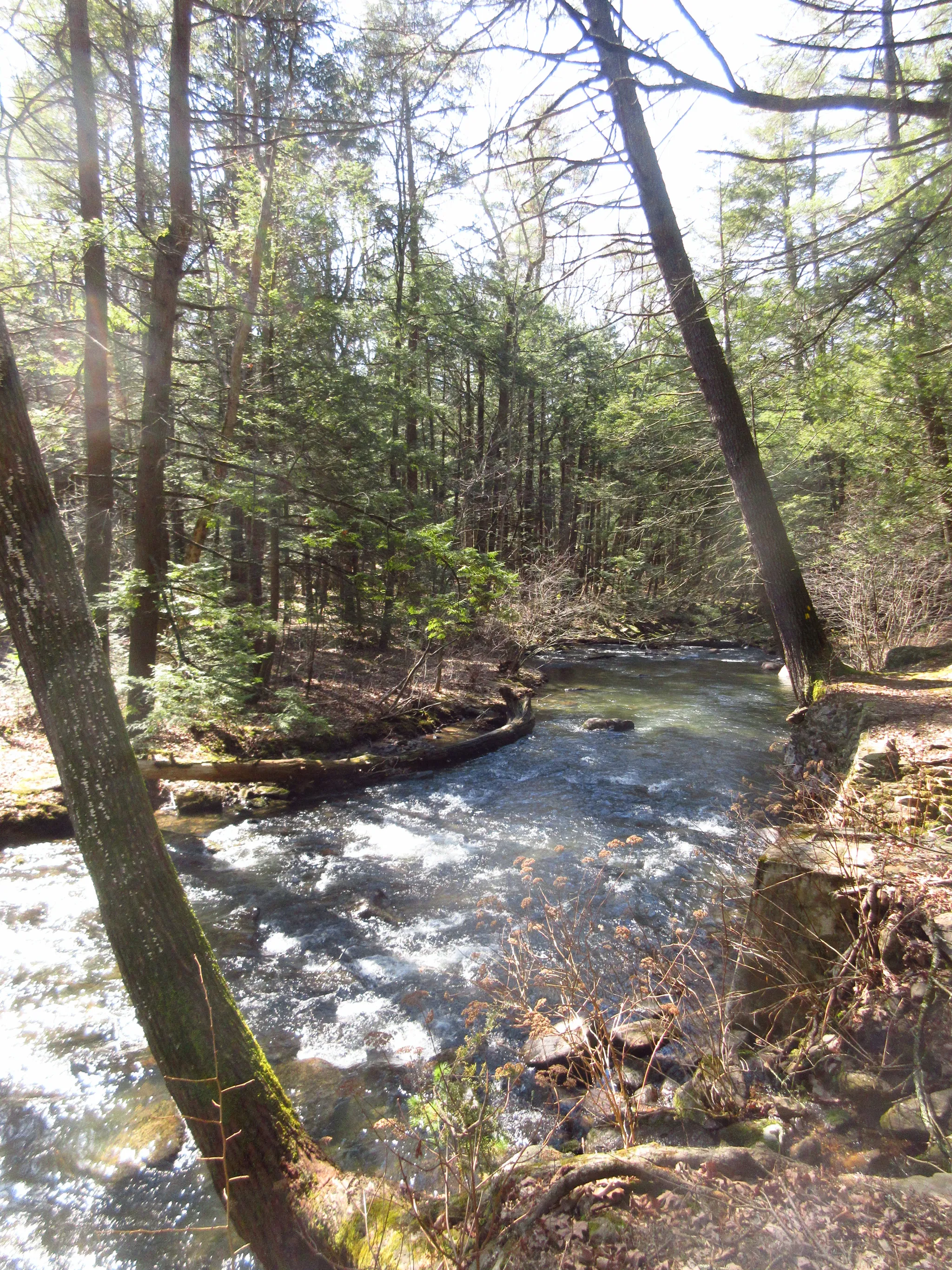 Reeds Gap State Park