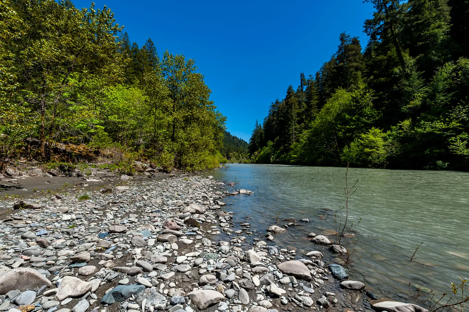 River Campground