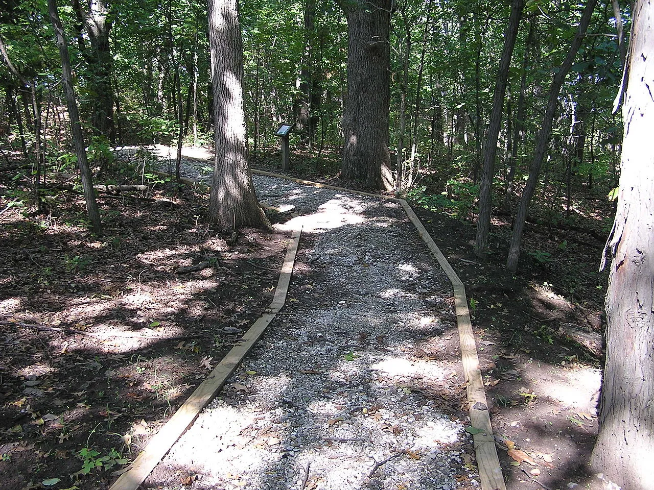 Campground (Sites 41-72)