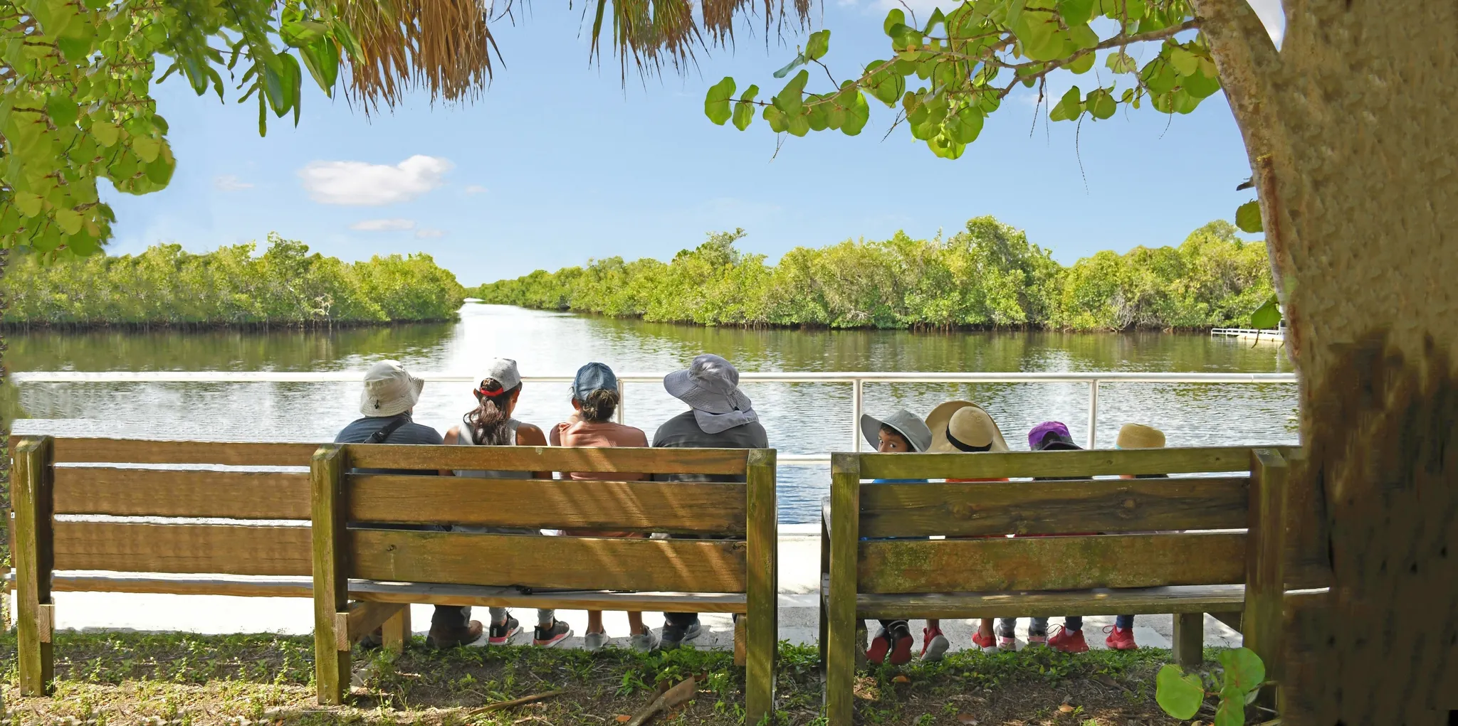 Collier-Seminole State Park Campground