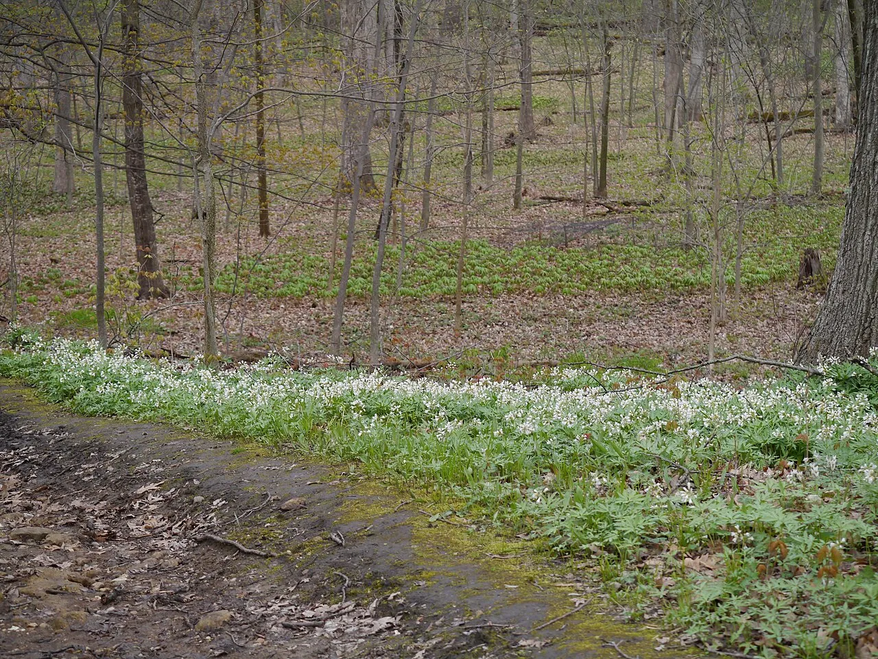 Lake Kegonsa State Park