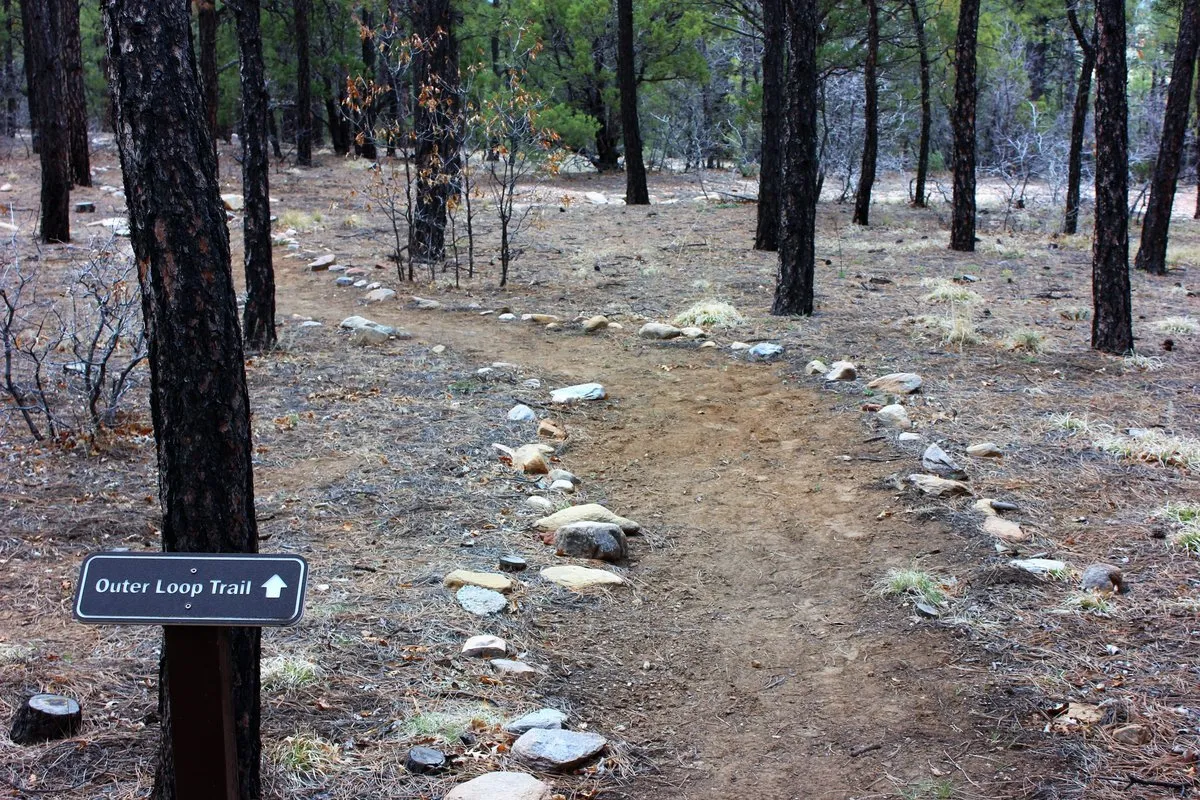 Manzano Mountains