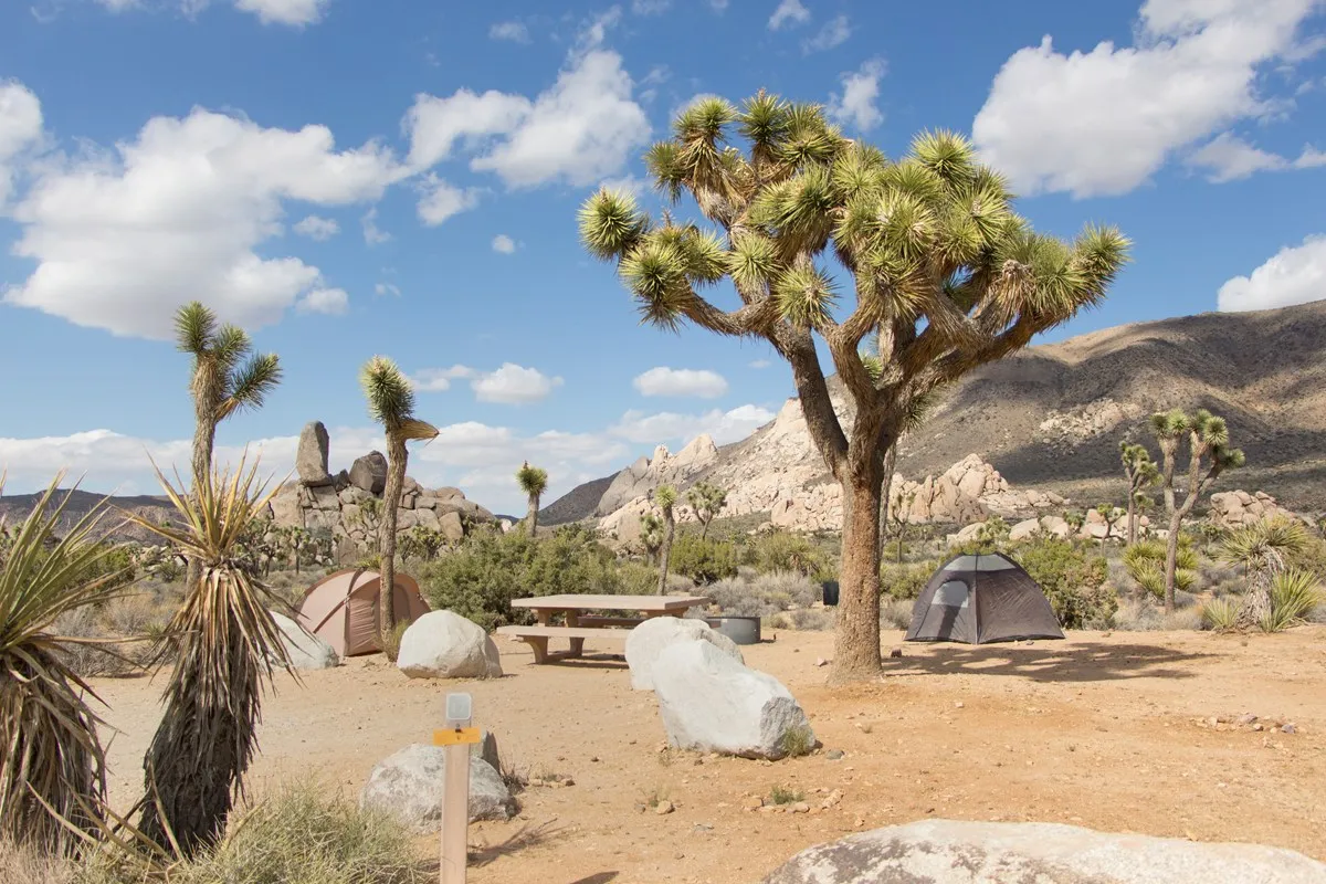 Ryan Campground