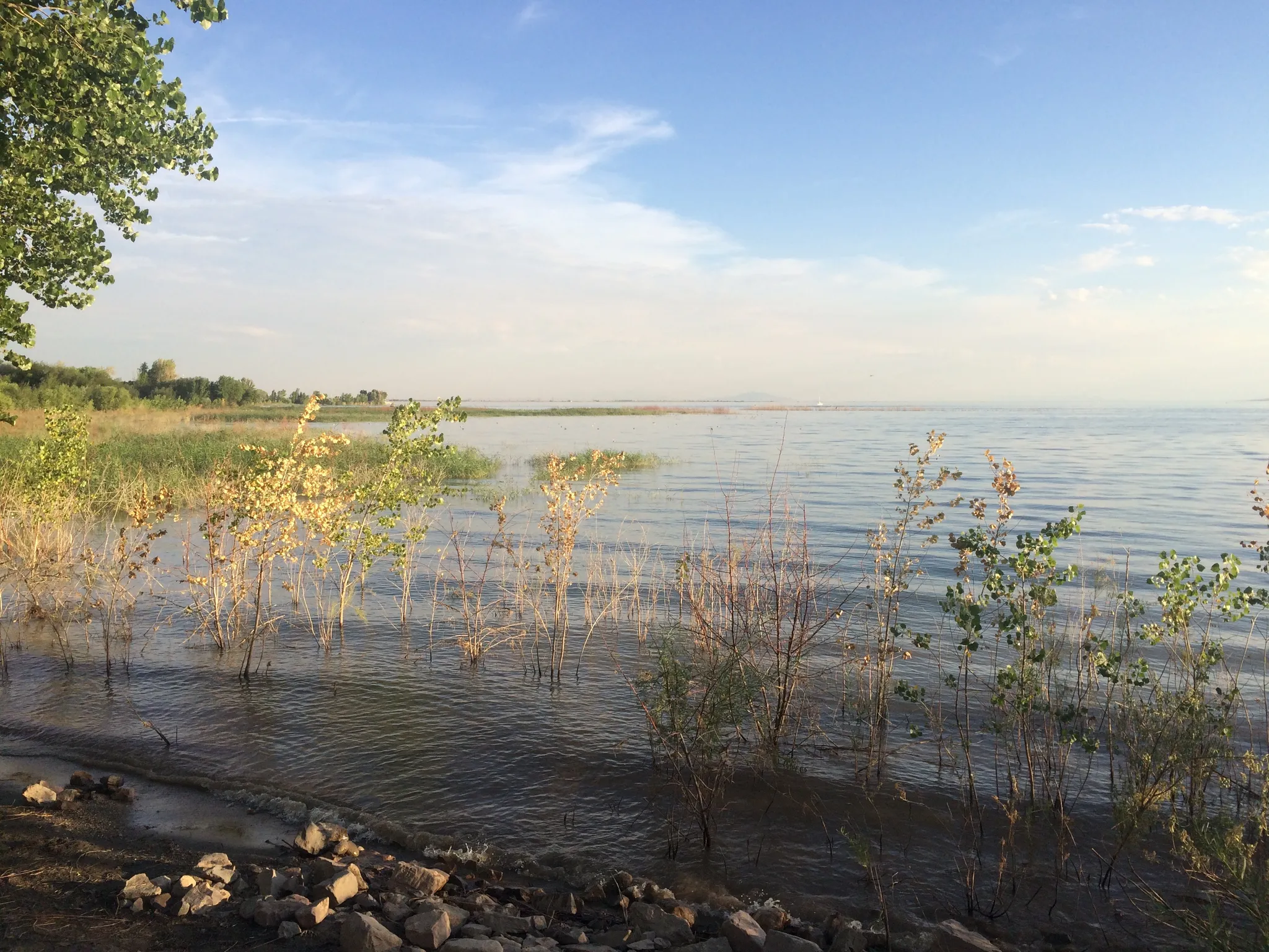 Willard Bay State Park