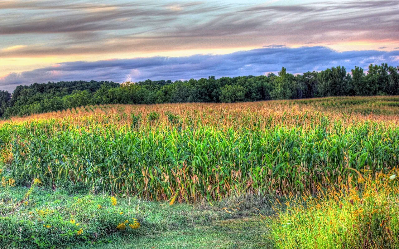 Wyalusing State Park