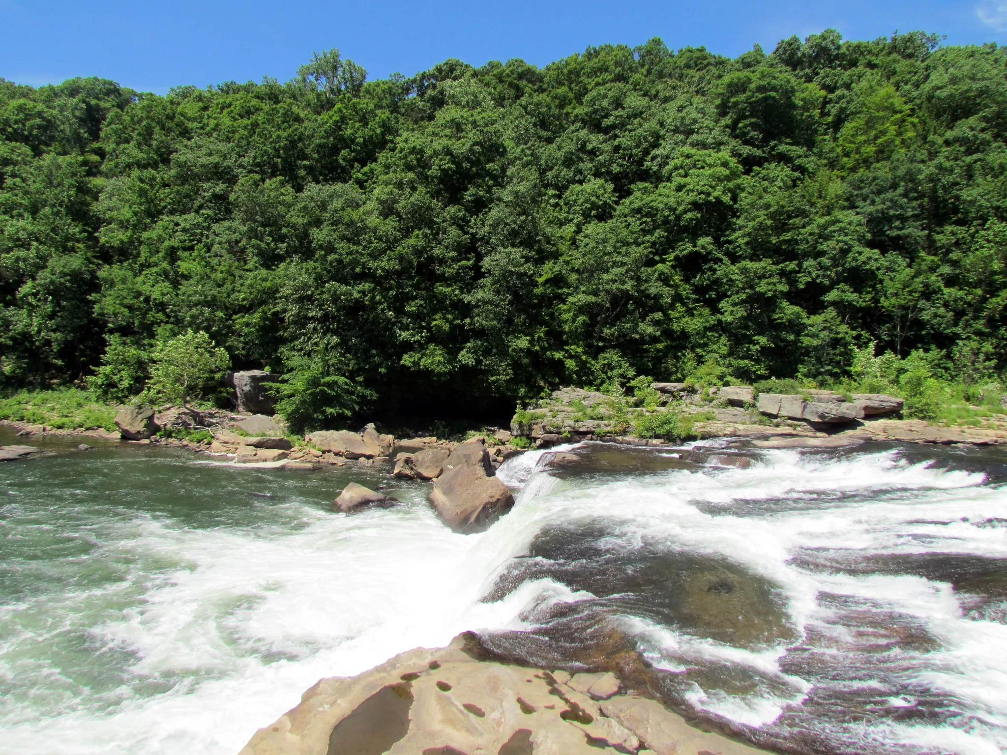 Ohiopyle State Park